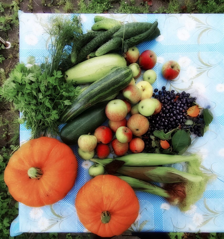 Дары природы.