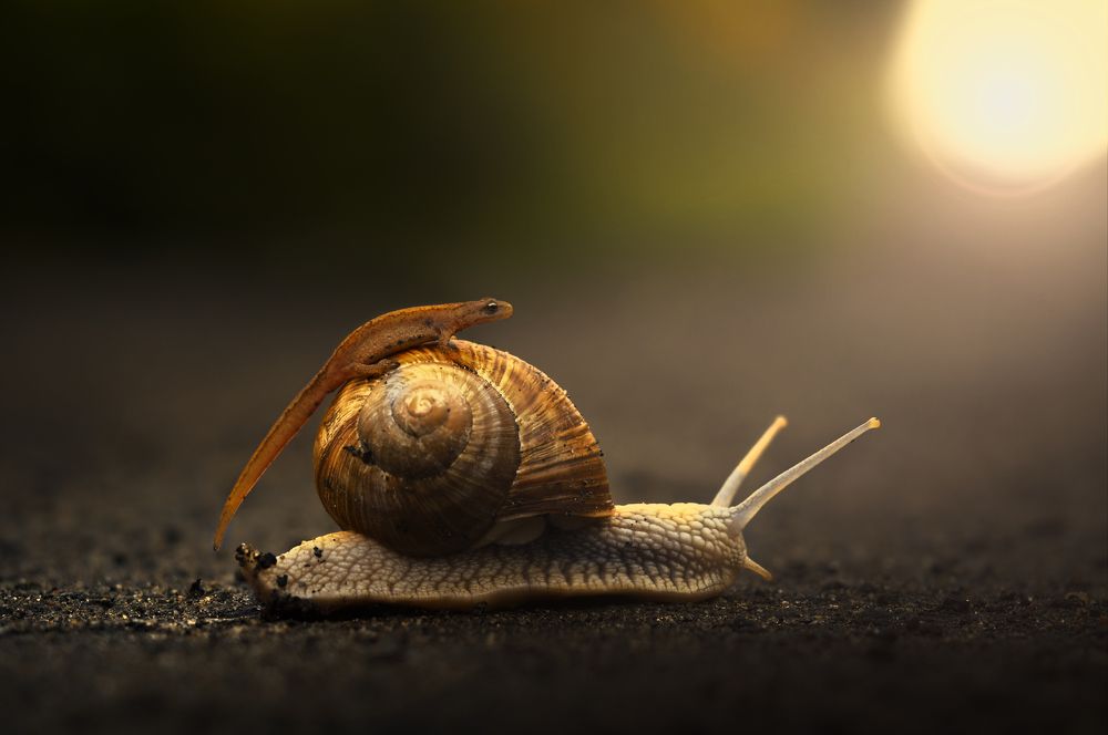 Photograph by Евгений Лукашук