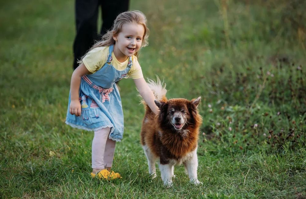 Photograph by Ольга Гаврилова