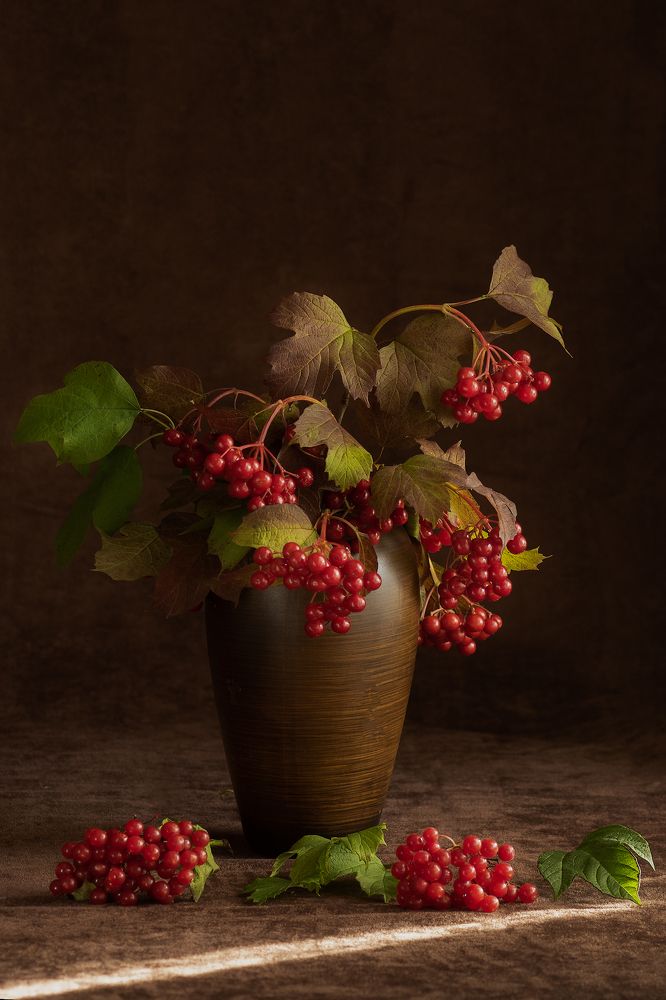 Photograph by Светлана Давыдова