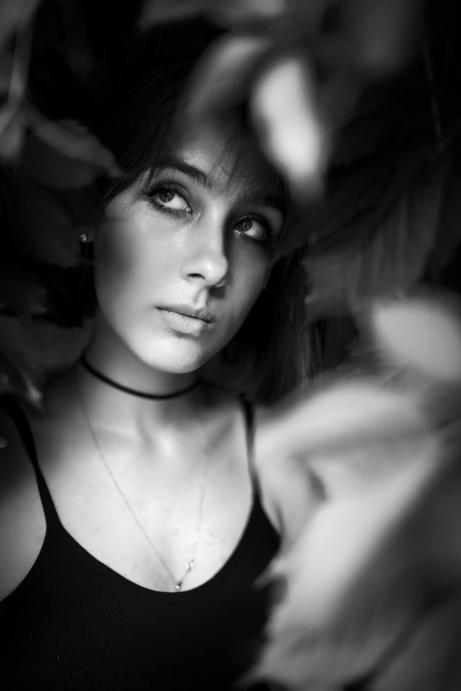 Photograph by Алексей Вольтов