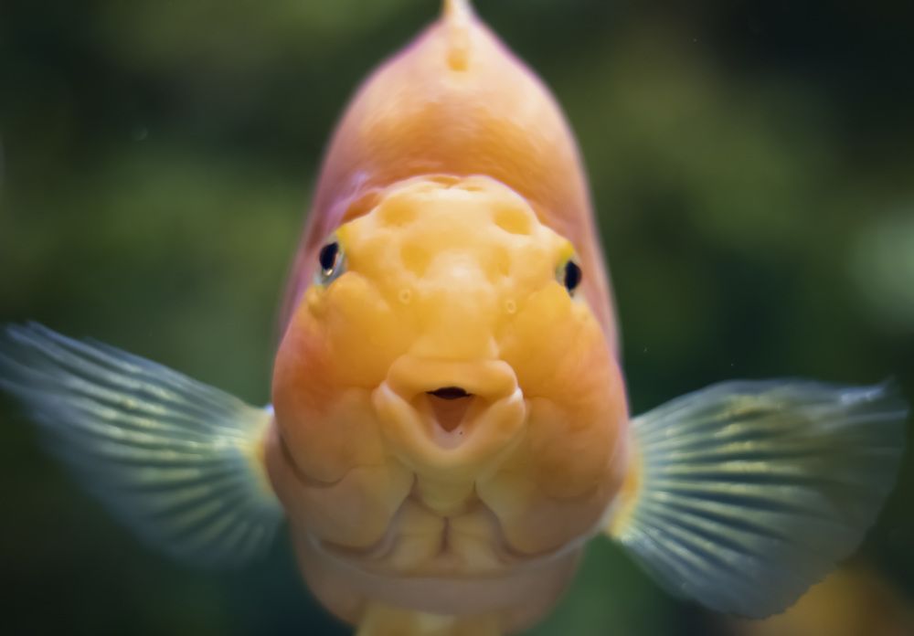 Photograph by mahyar soleimany