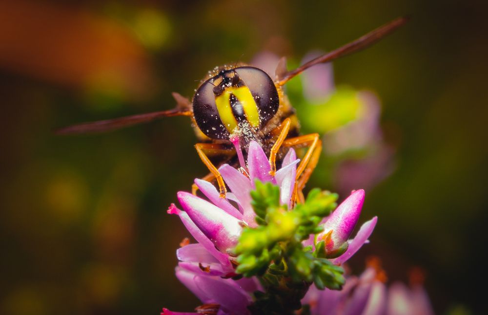 Photograph by Антон Парфентьев