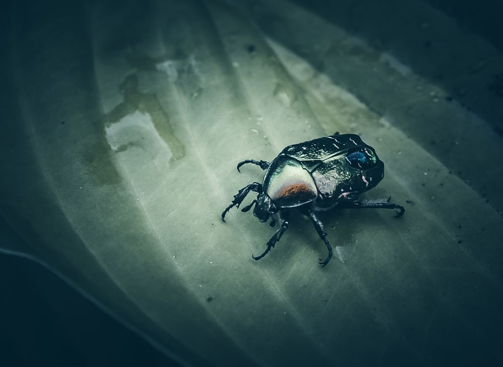 Photograph by Дмитрий Фадеев