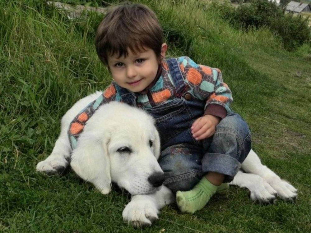 Неразлучные друзья