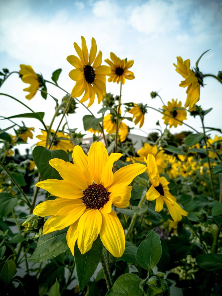 Photograph by Наталия Березина