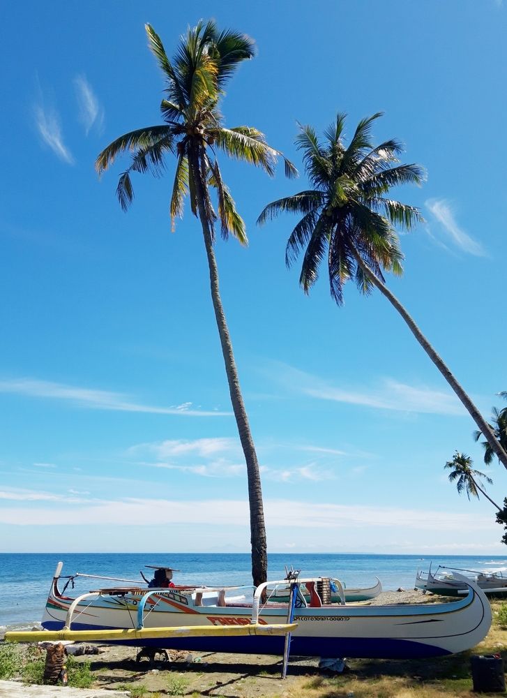 the beach
