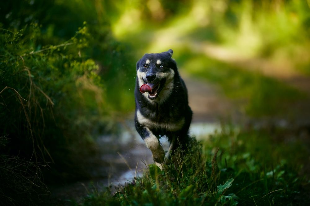 Фотография автора Дарина Матасова