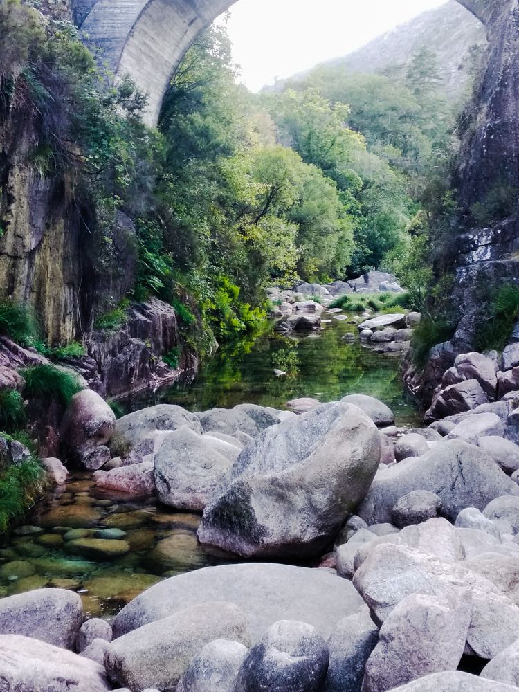 Photograph by Patricia Sofia