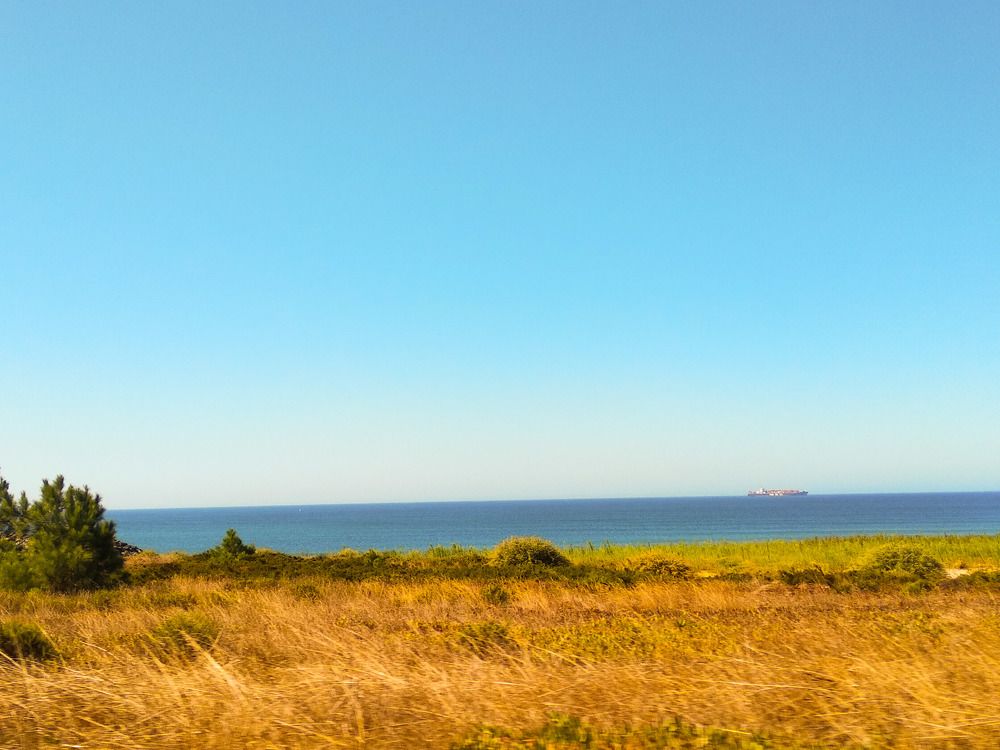 Photograph by Patricia Sofia