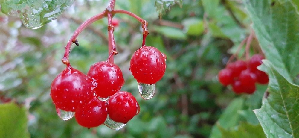 Photograph by Марийона Савоненко