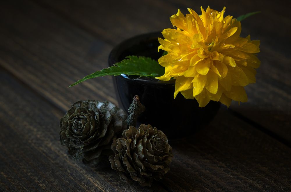 Photograph by Андрей Бурда