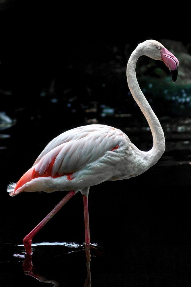 Photograph by Aleksandr Korotkov