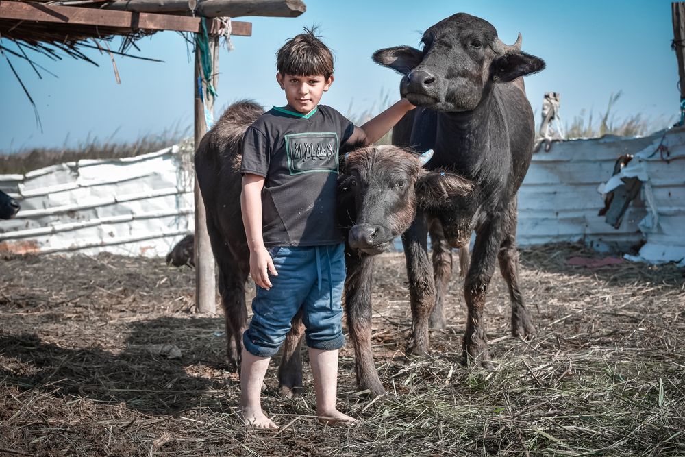 Photograph by الوائلي منتظر