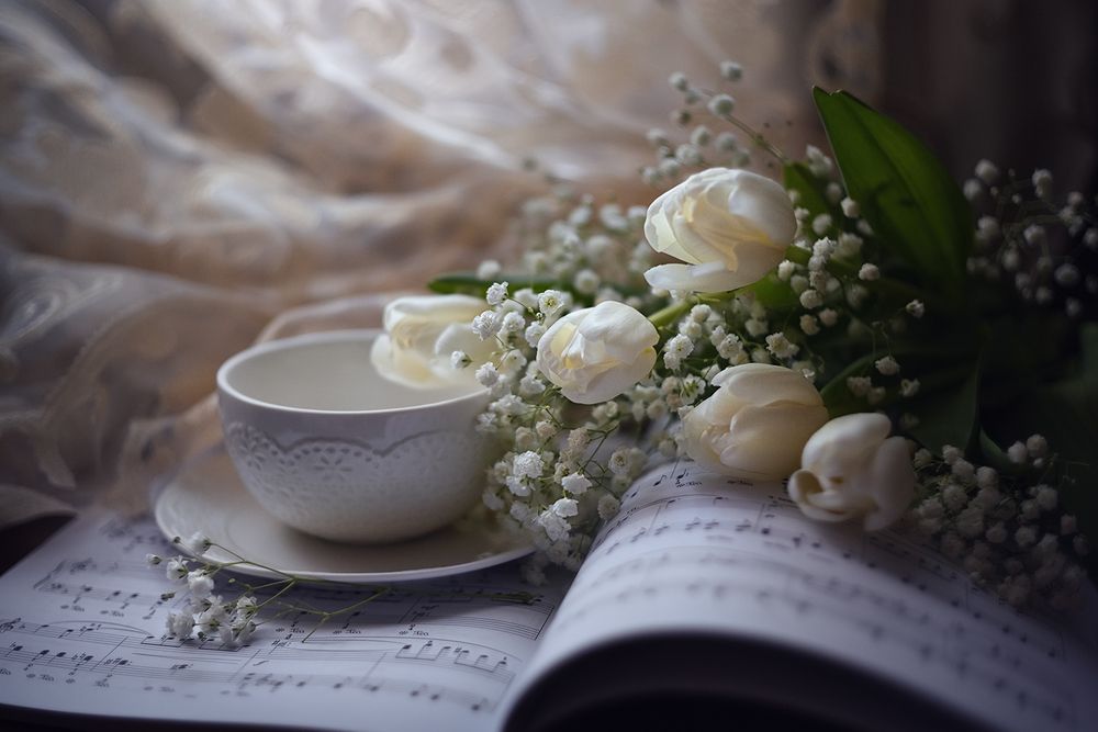 Spring nocturne/Весенний ноктюрн