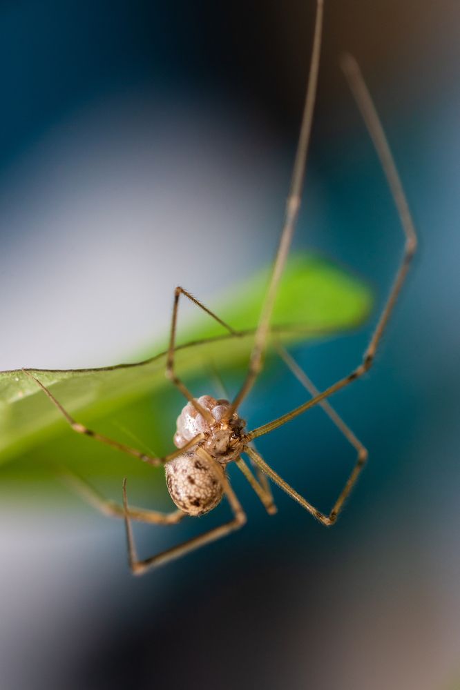 Photograph by Son Chu Thien