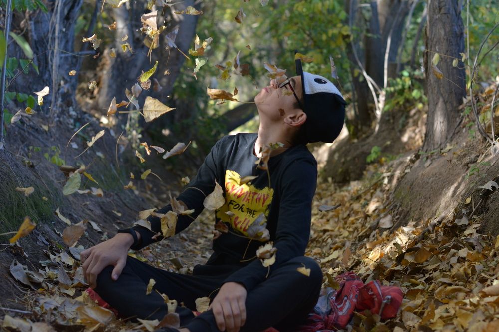 Jugando con el otoño