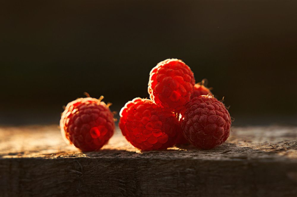 Photograph by Оксана Сироштан