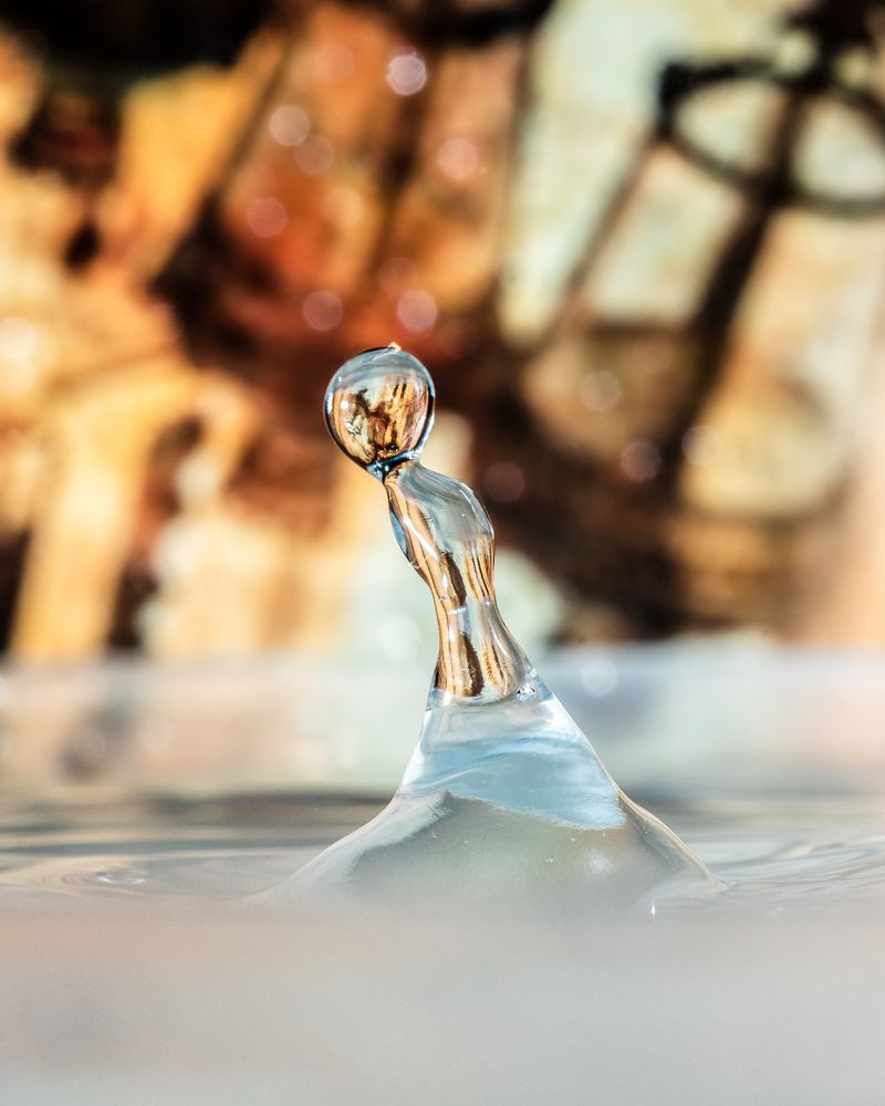 Фотография автора Дмитрий Дроздов