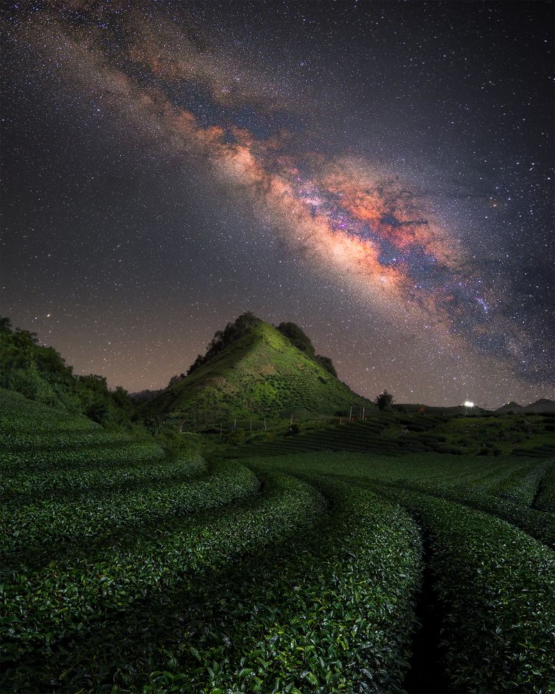 Photograph by LINH TRAN