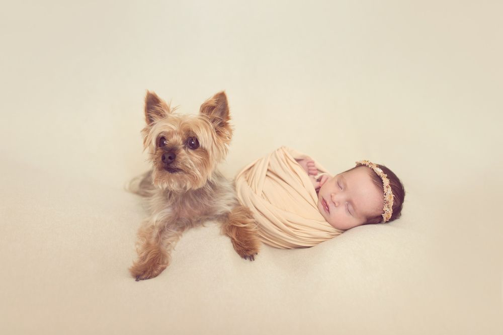 Photograph by Iveta Krausova