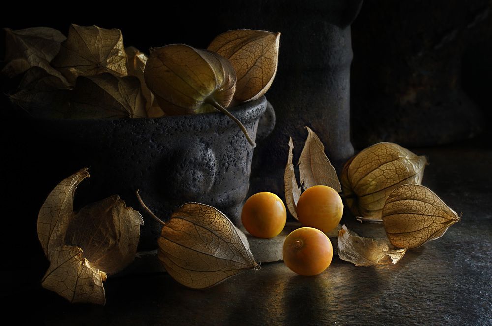 Photograph by Eduardo Modolo