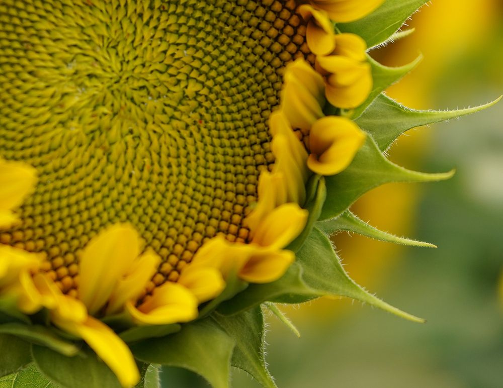 Photograph by Liliana Grup