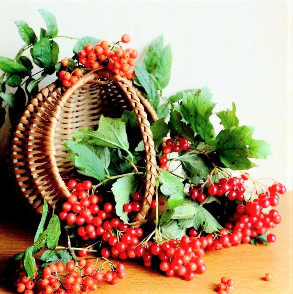 Photograph by Галина