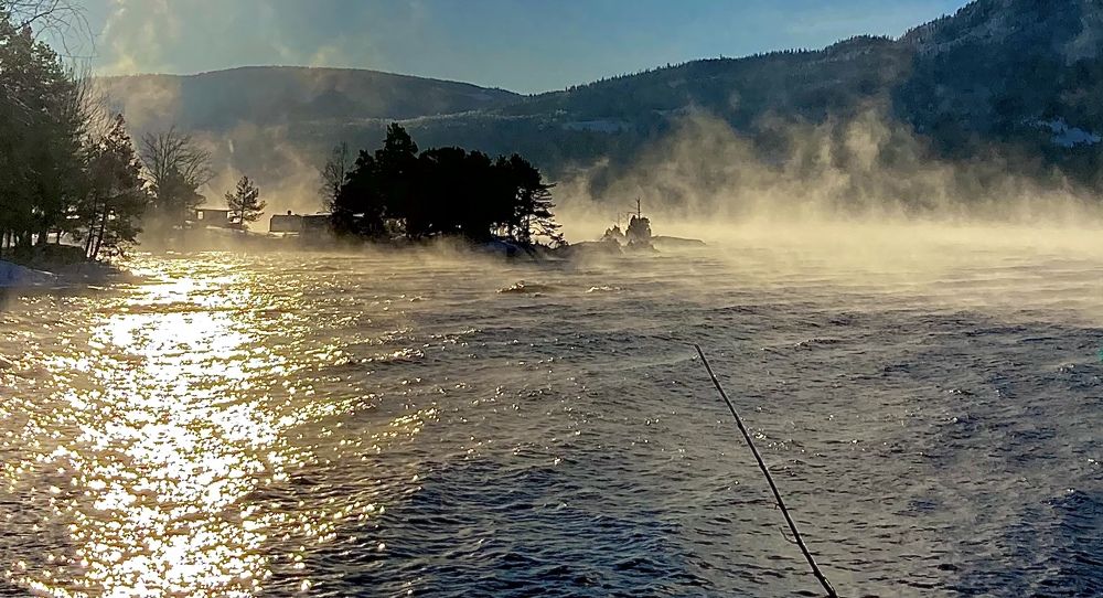 Photograph by Niels Ryholt