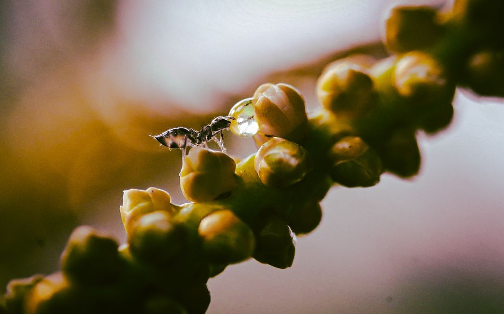 Photograph by Bibekanand Rana