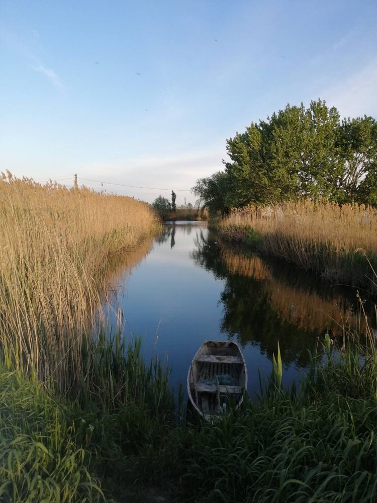 Фотография автора Николай Лысенко