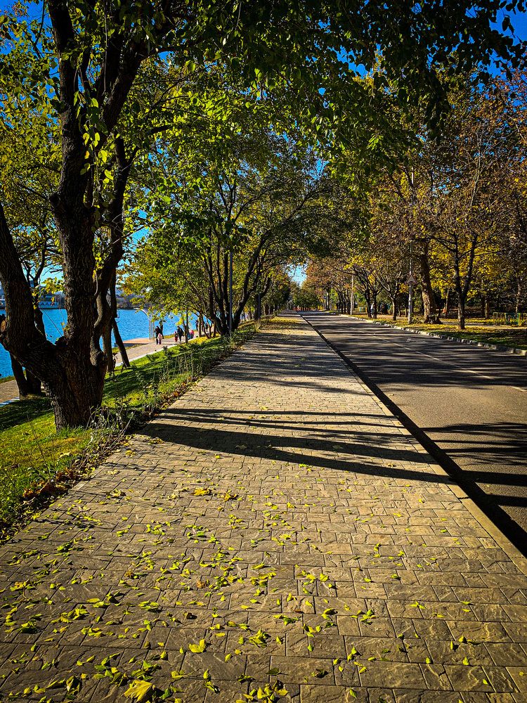 Фотография автора Николай Лысенко