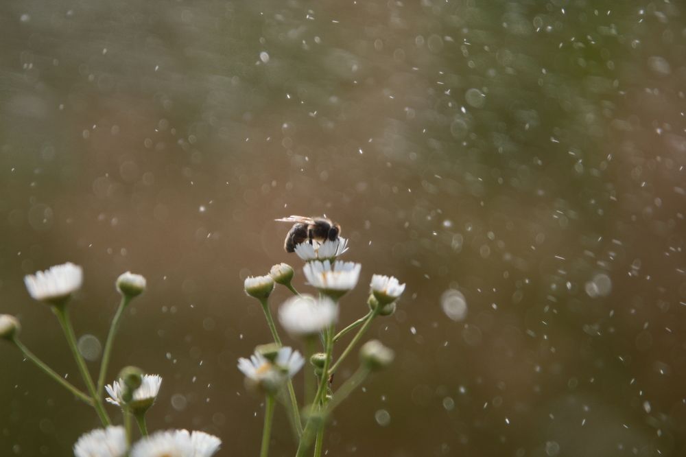 Photograph by Евгения