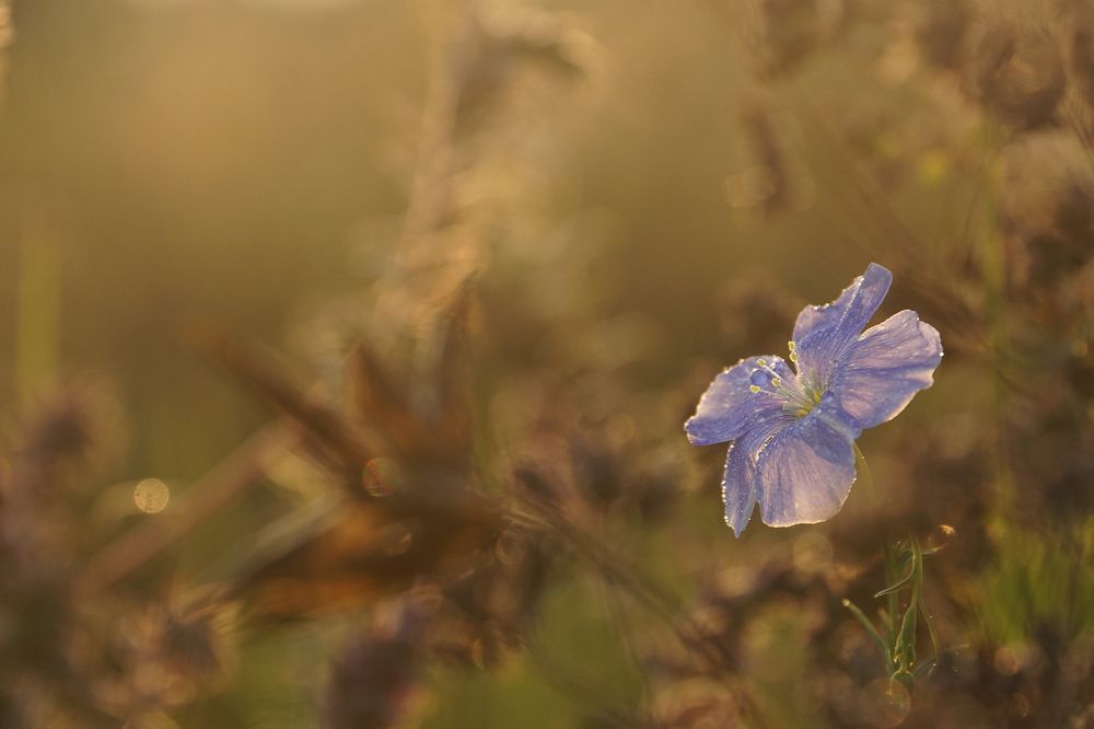 Photograph by Ольга Пуховникова