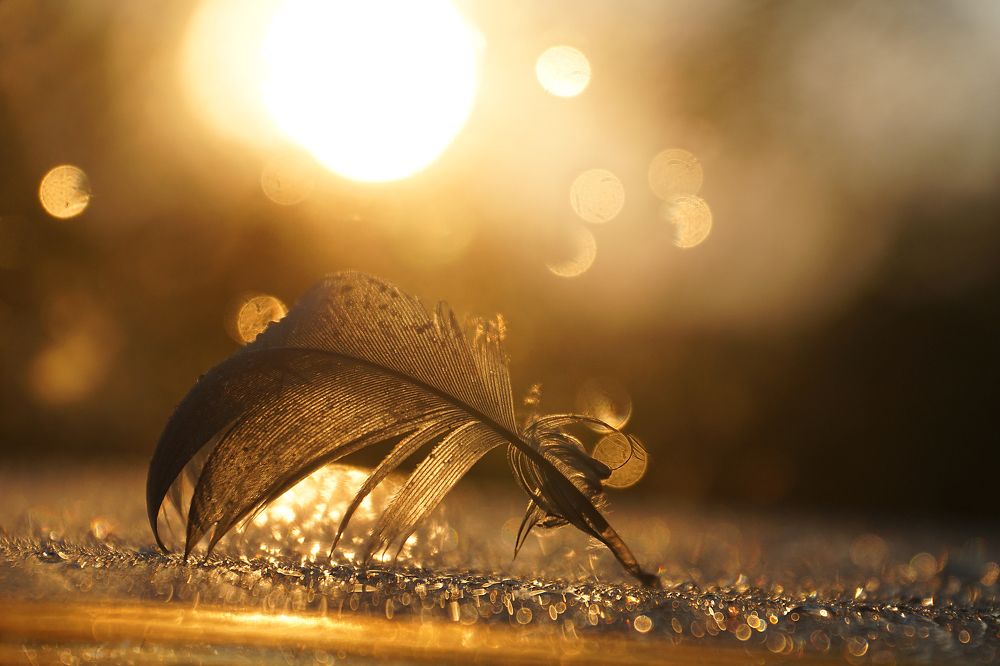 Photograph by Ольга Пуховникова