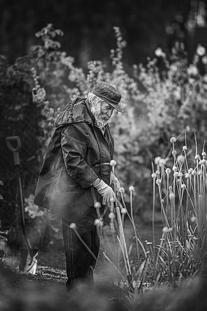 Фотография автора Елена Чернигина