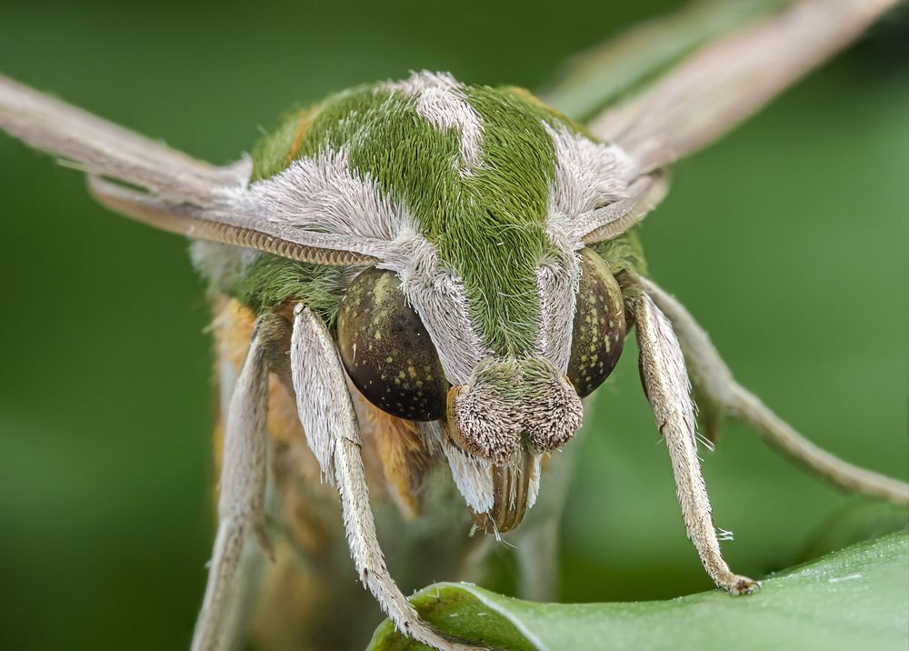 Photograph by Soon Teong Low