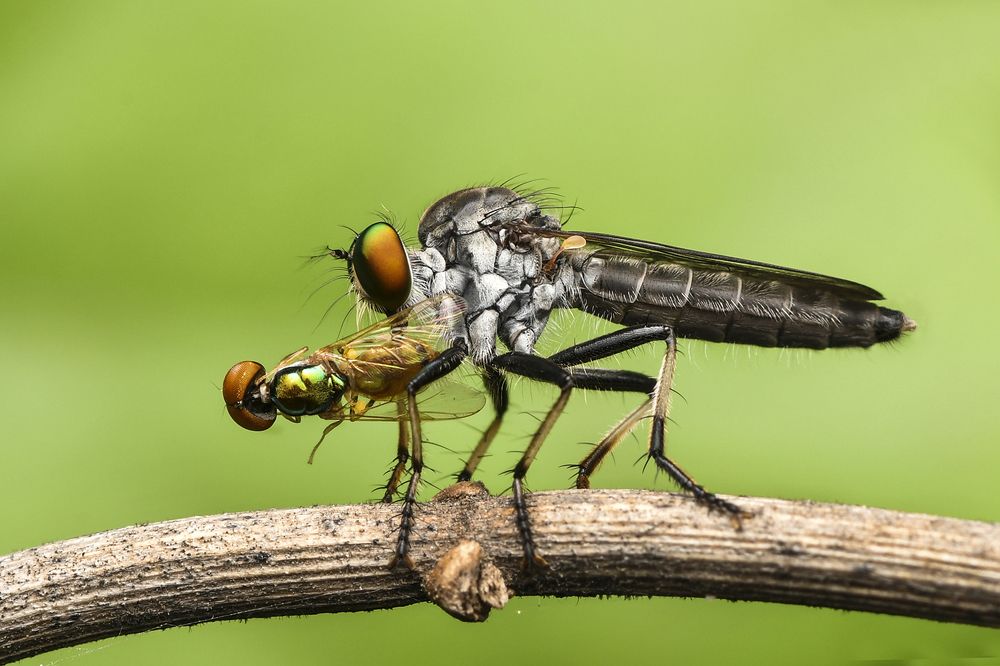 Photograph by ARUNAVA DEY