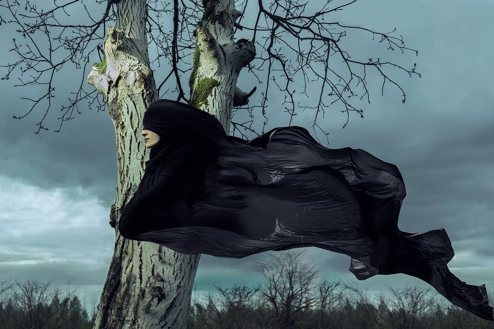 Photograph by MiLad Hamed