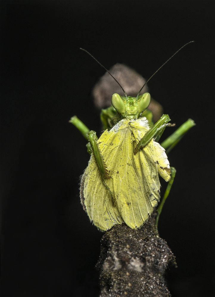 Photograph by ARUNAVA DEY