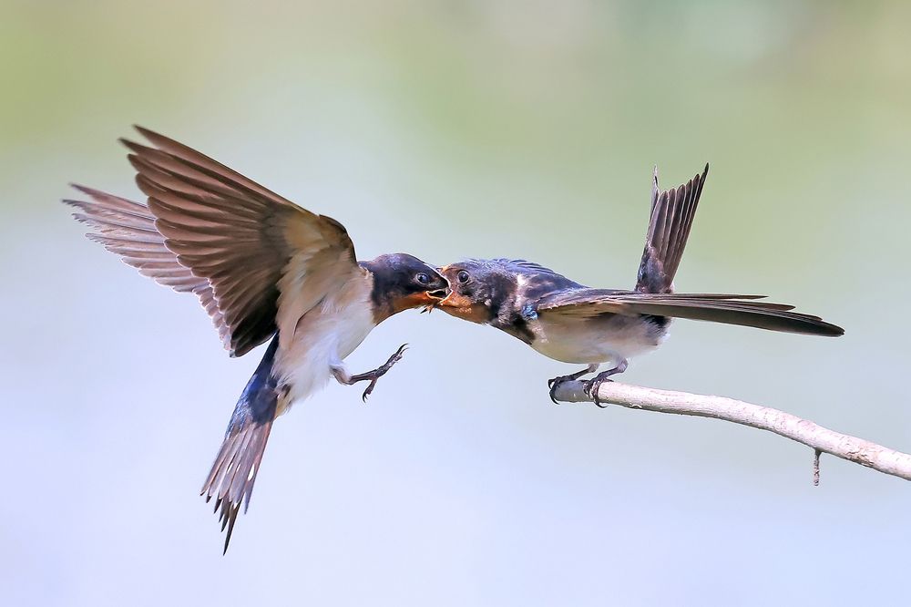 Photograph by Yiu Tung Mak