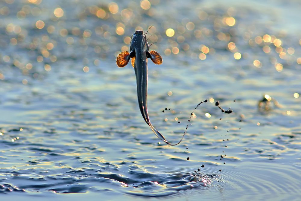 Photograph by Yiu Tung Mak