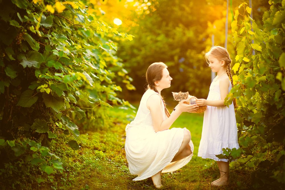 Когда твоя семья самая лучшая