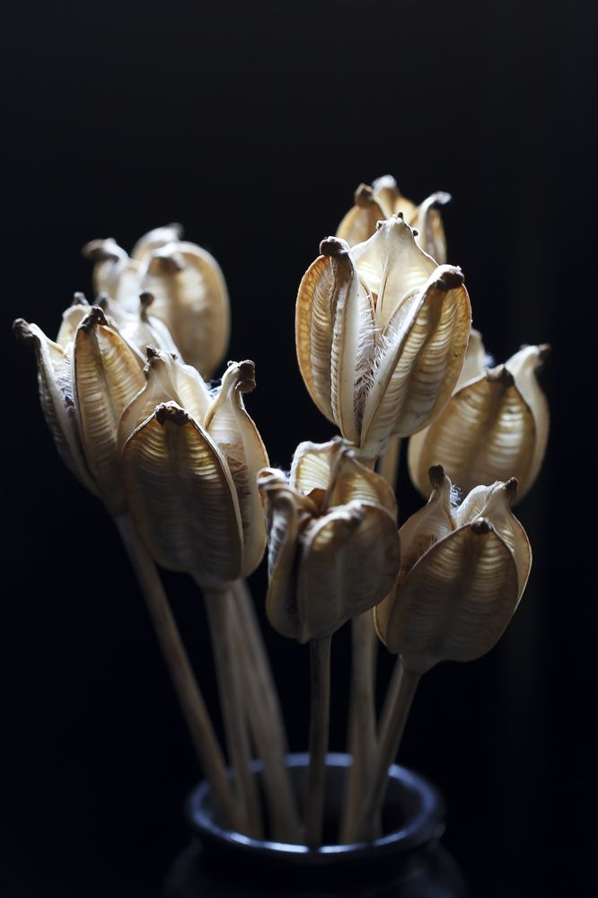 Photograph by Ирина Кротова