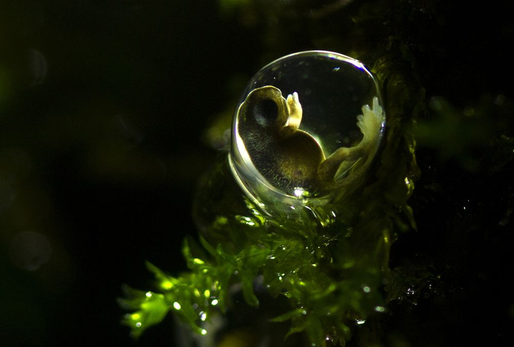 Photograph by Bhavya Joshi