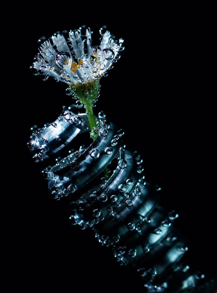 железные объятия