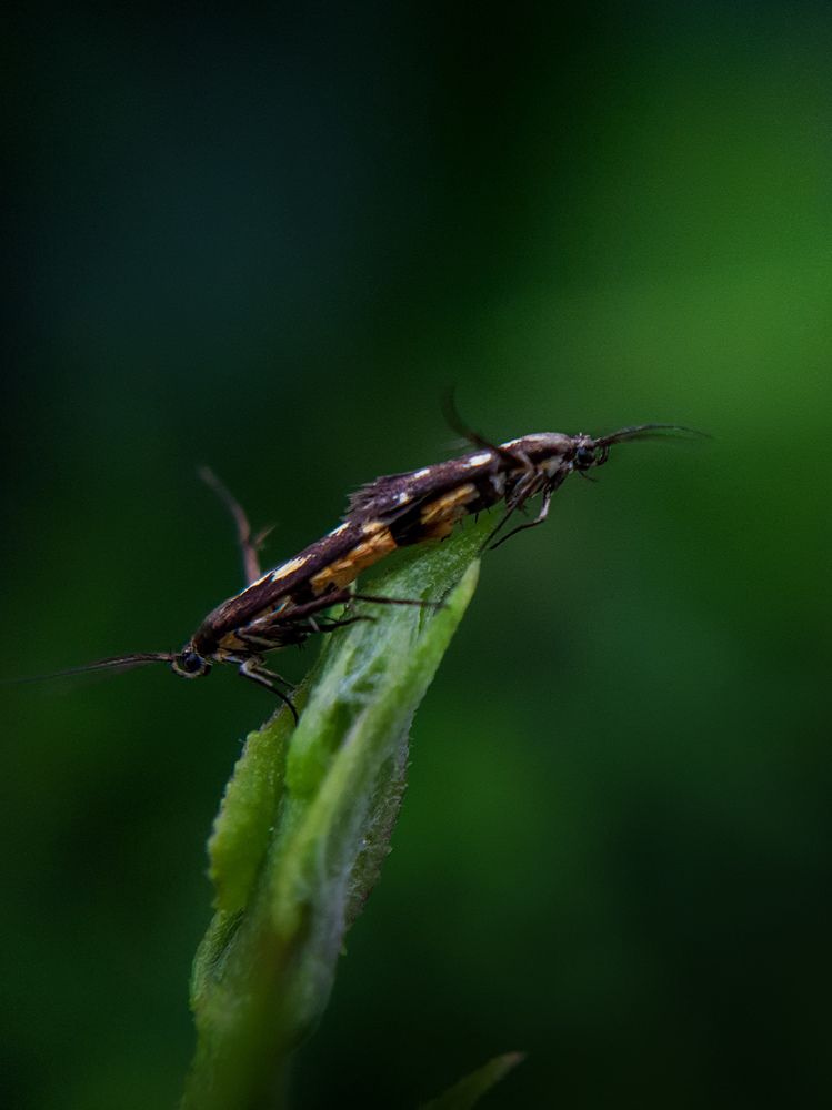 Photograph by Bivas Sarkar