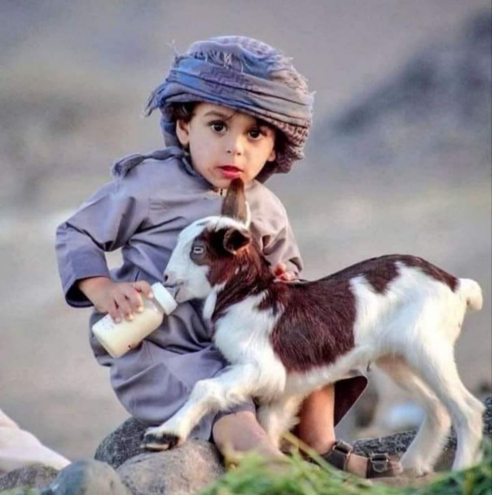 Photograph by MOHAMMAD ASHFAQ