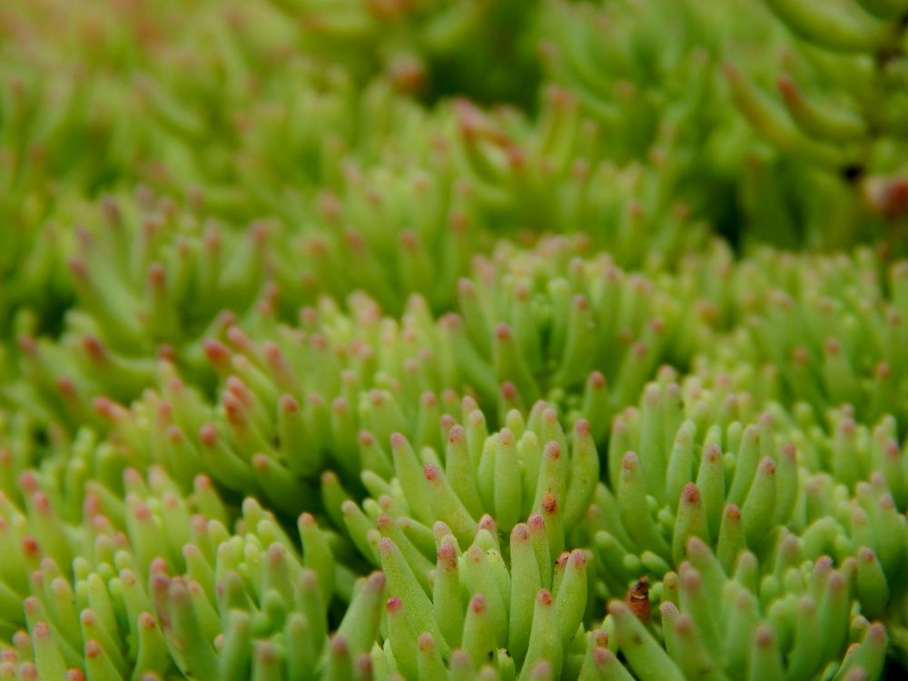 Photograph by Анастасия Моисеева