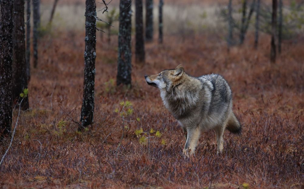 Photograph by Ene Mägi